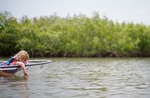 Get Up And Go Kayaking - New Smyrna Beach