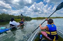 Get Up And Go Kayaking - New Smyrna Beach