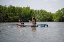 Get Up And Go Kayaking - New Smyrna Beach