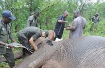 2 Days Safari Tour