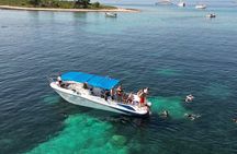 Half Day Speedboat Tour with Blue Lagoon (from Trogir)
