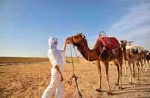Sunset camel ride and dinner in Agafay desert. 