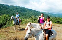 Samara Horseback Riding