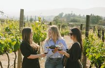 Private Wine Tour by Ansell Tours