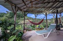 Jamaican Roots Tropical Farm Tour - Taste & Explore (Negril) 2hr