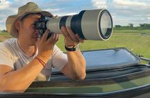 Discover Nairobi National Park, Africa's Only Urban Safari