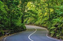 Ocho Rios Private Guided Tour with Transportation