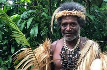 Cultural Experience & Blue Lagoon with Yumi Tours