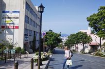 Hakodate Shore Excursion: Custom Car Tour, Licensed Guide