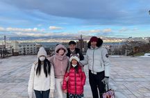 Port Pick-Up: Hakodate Tour with Licensed Guide and Vehicle
