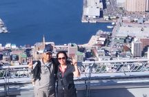 Port Pick-Up: Hakodate Tour with Licensed Guide and Vehicle