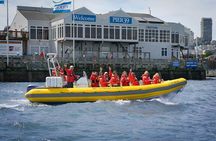 San Francisco Bay Adventure Sightseeing Cruise