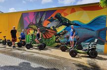 Baby Beach and San Nicolas Art Murals Private EZ Raider Adventure