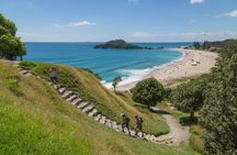 Tauranga City & Scenic Local 2-hour Tour (City Sightseeing)