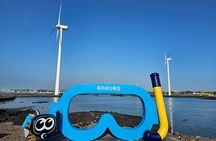 Jeju Private Tour Package -West of Jeju (Handam & Yongmeri coast)