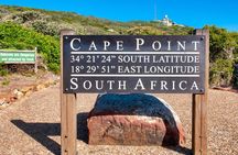Cape Town Shore Tour: Table Mountain, Penguin & Cape Point 