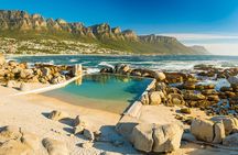 Cape Town Shore Tour: Table Mountain, Penguin & Cape Point 