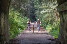 Glow Worm Tunnel Evening Guided Tour