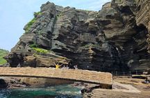 Jeju Private Tour Package-South of Jeju(Mt.Hallasan & Waterfalls)