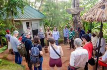 Full-Day Private Materuni Waterfalls and Coffee in Tanzania