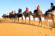 4-Day Private Desert Tour Fez to Marrakech