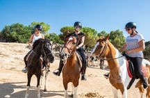 Mallorca Evening Tour: Horseback Riding, Dinner and Dance