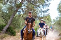 Mallorca Evening Tour: Horseback Riding, Dinner and Dance