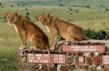 Nairobi National Park, Baby Elephant Orphanage and Giraffe Centre