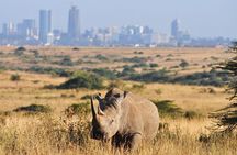 Nairobi National Park, Baby Elephant Orphanage and Giraffe Centre