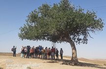 Classic Morrocan Highlight Tour 