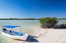 Safari in Rio Lagartos, Coloradas and Mayan Bath with Lunch