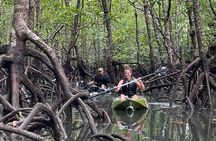 Half-Day Geopark Mangrove Kayaking Adventure