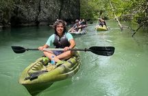 Half-Day Geopark Mangrove Kayaking Adventure