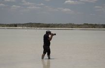  Full Day Tour from Tulum to Rio Lagartos