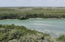  Full Day Tour from Tulum to Rio Lagartos
