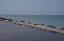  Full Day Tour from Tulum to Rio Lagartos