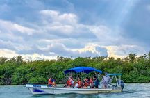 Sian Ka'an Sunset Boat Tour