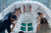 Day Tour Glass Bottom Boat In Islamorada