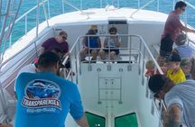 Day Tour Glass Bottom Boat In Islamorada
