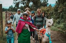 Full Day Private Tour to Chimborazo and La Moya Community