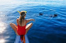 Private Yacht Cruise to Dolphin House with Lunch : Hurghada