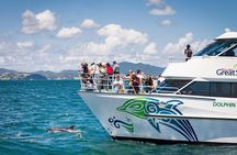 Private Yacht Cruise to Dolphin House with Lunch : Hurghada