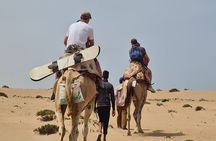 Agadir Sahara Desert including Camel ride, sandboarding & pickup