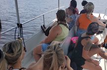 2 Hours Boat Tour in Louisiana Bayous Near New Orleans