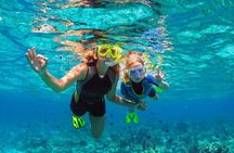 Private 1/2 Day Afternoon Snorkel / Cruise on "Shady Grady"