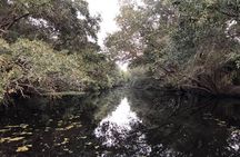 2 Hours Boat Tour in Louisiana Bayous Near New Orleans