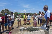 Tulum and Cenotes Tour Casa Tortuga plus Mother Nature Sculpture