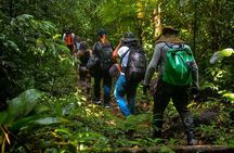Coastal Trail Adventure in Bertioga: Exploring Natural Beauty