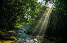 Coastal Trail Adventure in Bertioga: Exploring Natural Beauty