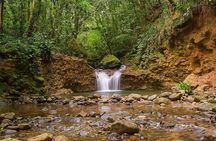 Coastal Trail Adventure in Bertioga: Exploring Natural Beauty